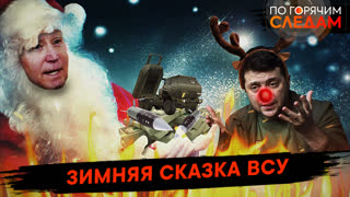 По горячим следам. Зимняя сказка ВСУ