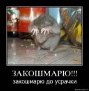 Фотография Антонян Диро