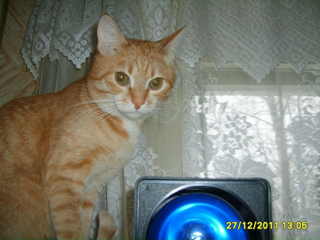 Валентин Матвеев фотография #42