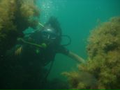 Фотография Егоровой Людмилы