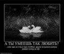 Вікочка Шелемба фотография #34 (источник - https://vk.com/id70260429)