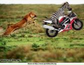 Марішка Руцька фотография #46 (источник - https://vk.com/id157698249)