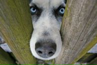 Фотография Витко Ильи