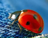 Фотография Осень Фионны