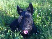 Фотография Орловой Натальи