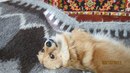 Ірочка Оверчук фотография #15 (источник - https://vk.com/id153074853)