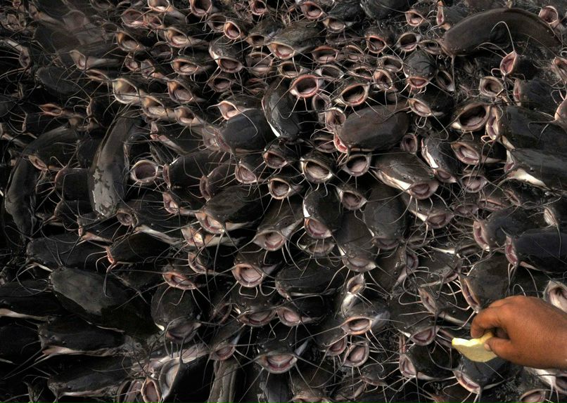 Миша Царьков фотография #11