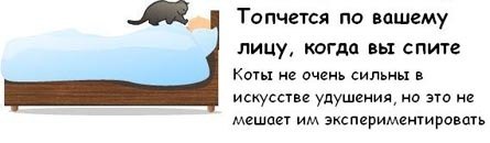 Соломія Паращак фотография #19 (источник - https://vk.com/id113762260)