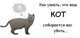 Соломія Паращак фотография #13 (источник - https://vk.com/id113762260)