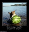 Андрій Ядельський фотография #26 (источник - https://vk.com/id45406853)