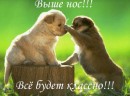 Олег Станіславчук фотография #27 (источник - https://vk.com/id28035913)