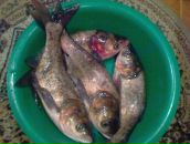 Віталій Лоцко фотография #5 (источник - https://vk.com/id27947505)