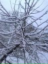 Вася Олійник фотография #27 (источник - https://vk.com/id134691319)