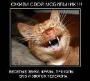 Діма Доменюк фотография #3 (источник - https://vk.com/id151110776)
