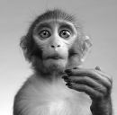 Фотография Wei Wu