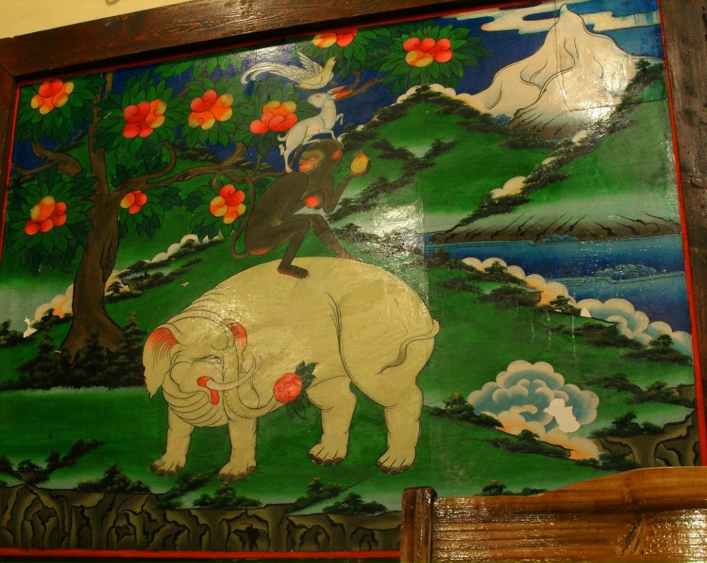 Дмитрий Стародубцев фотография #34