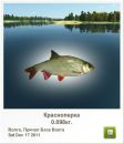 Сашко Дмитріев фотография #39 (источник - https://vk.com/id113286753)
