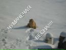 Тіна Кароль фотография #6 (источник - https://vk.com/id168345197)