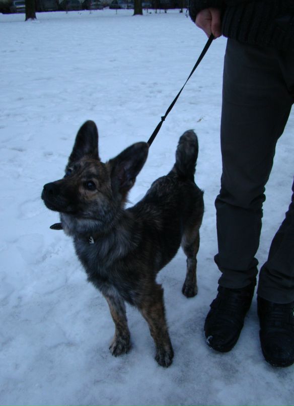 Костя Афонский фотография #42