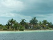 Jemi Li фотография #11 (источник - https://vk.com/id3827665)