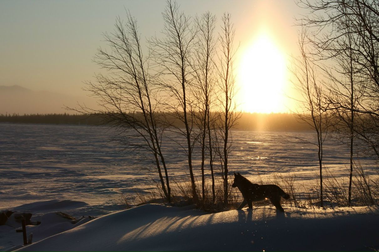 Игорь Тимофеев фотография #3