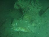 Віталій Яворський фотография #5 (источник - https://vk.com/id3023765)