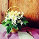 Валентина Кошутіна фотография #42 (источник - https://vk.com/id27838804)