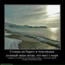 Фотография Денишенко Максима