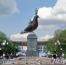 Иван Мамаев фотография #39 (источник - https://vk.com/id41126166)