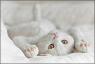 Фотография Гусевой Светланы