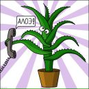 Фотография Соколов Виталий