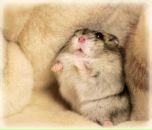 Фотография Антоновой Анастасии