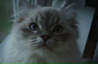 Кузя Κалинина фотография #1