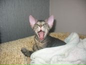 Фотография Клименко Татьяны