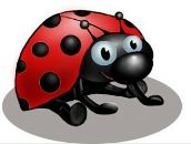 Фотография Хохловой Марии