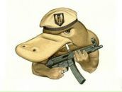 Фотография Ярошенко Мария