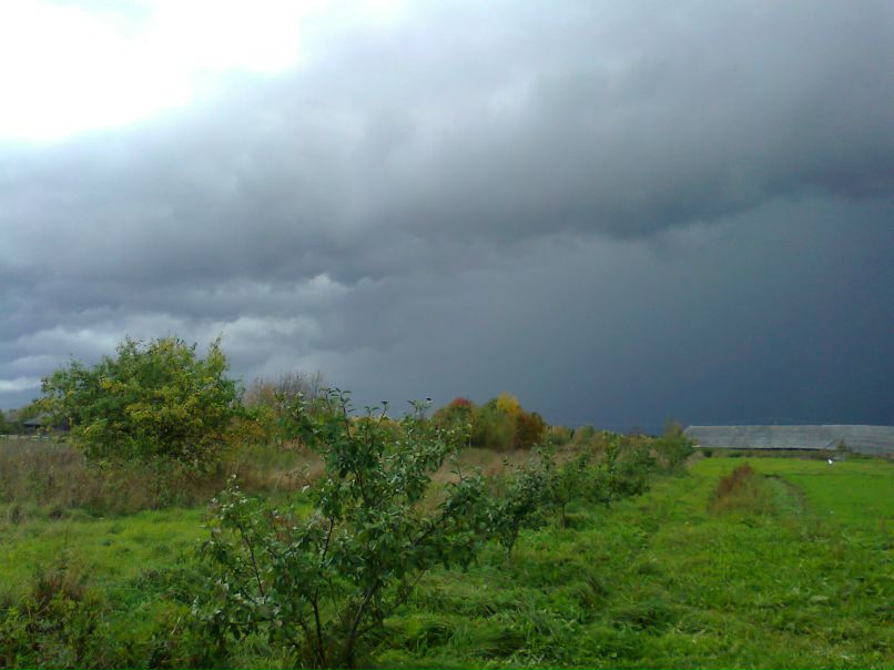 Дмитрий Дмитриев фотография #33