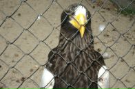 Фотография Калядина Сергея