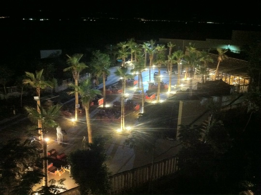 Дмитрий Алексеев фотография #22