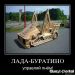  фотография #5