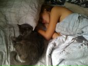 Фотография Lazareva Kseniia