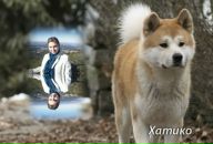 Наталя Бойків фотография #45 (источник - https://vk.com/id34153730)