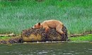 Роман Жуківський фотография #3 (источник - https://vk.com/id103701657)