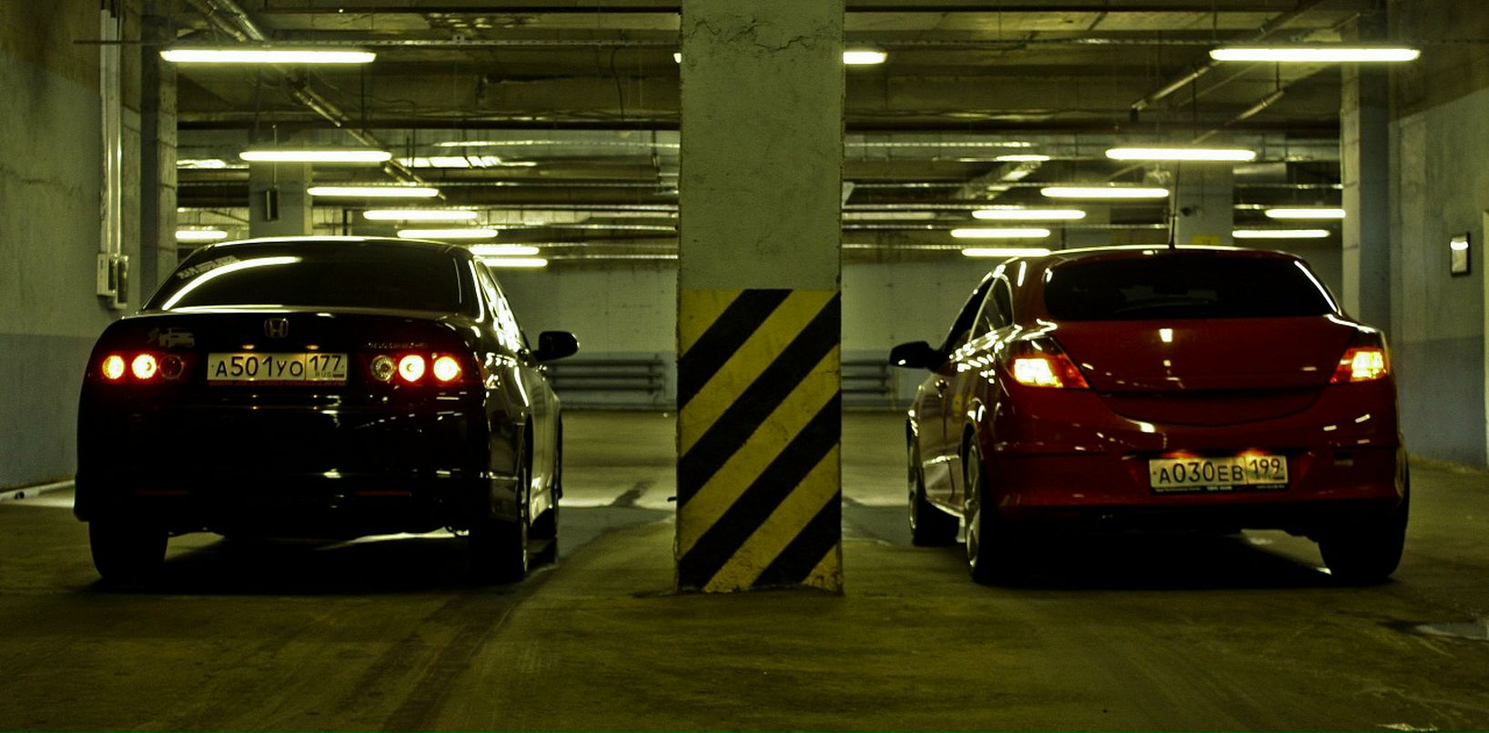 Tima Fatalieff фотография #45