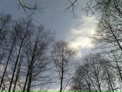 Михайло Сорокін фотография #38 (источник - https://vk.com/id17253856)