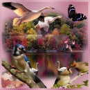 Женічка Овсяник фотография #3 (источник - https://vk.com/id22379173)