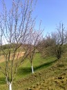 Діма Зеленохат фотография #28 (источник - https://vk.com/id37574075)