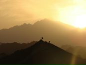 Фотография Козина Димы