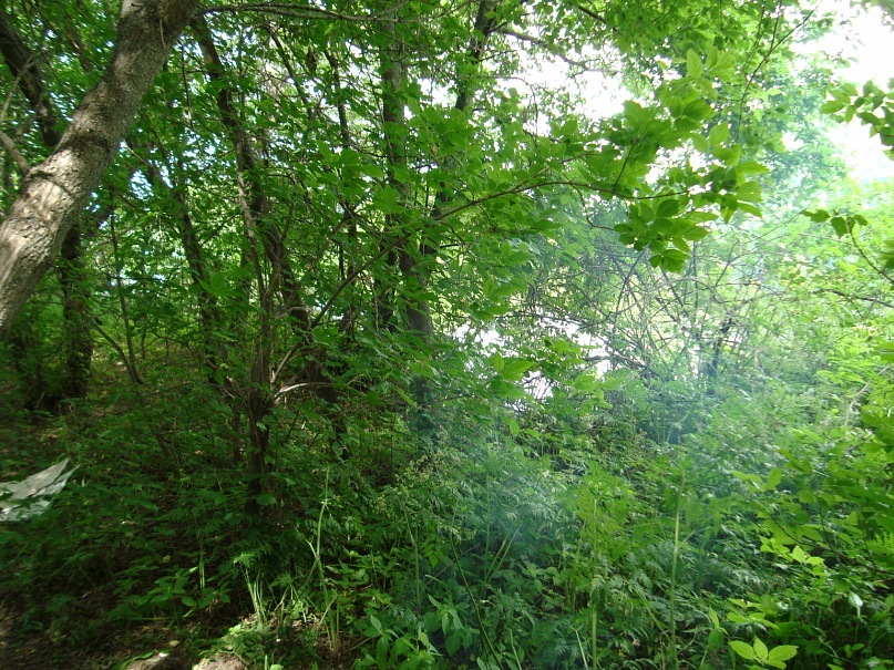 Павел Плотников фотография #36