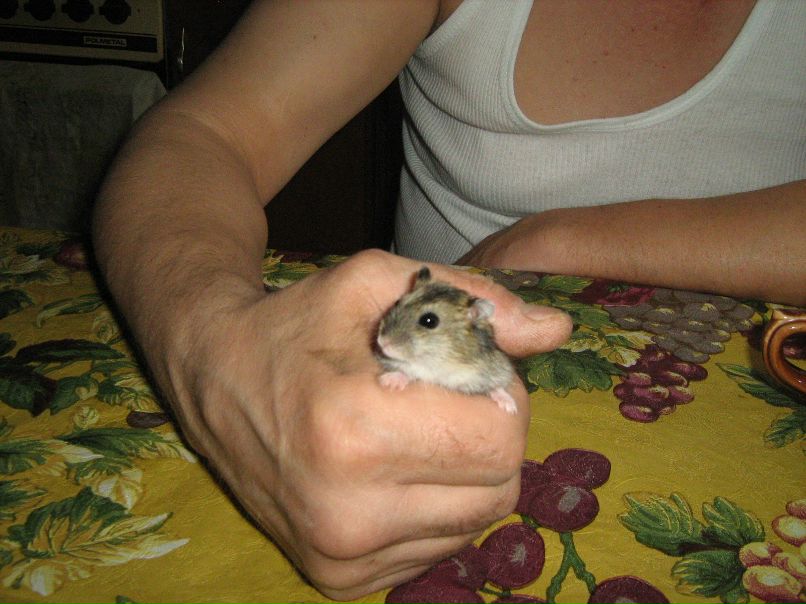 Сергей Синицкий фотография #2